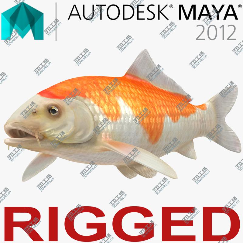 images/goods_img/2021040234/3D model Harivake Koi Fish Rigged for Maya/1.jpg
